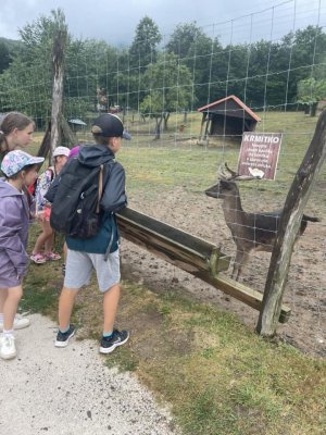 LT FUN PARADA / fotogaléria