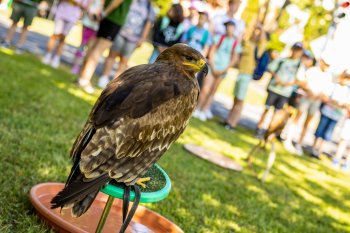 POĽOVNÍCI DEŤOM 2025