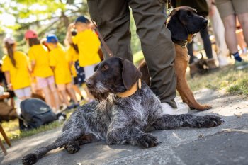 POĽOVNÍCI DEŤOM 2025