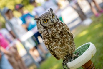 POĽOVNÍCI DEŤOM 2025