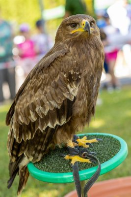 POĽOVNÍCI DEŤOM 2025