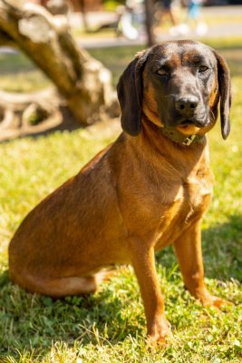 POĽOVNÍCI DEŤOM 2025