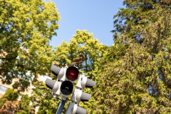 POĽOVNÍCI DEŤOM 2025