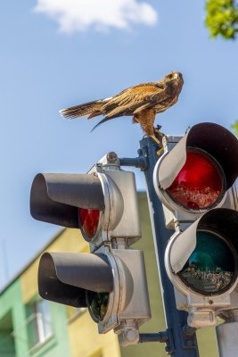 POĽOVNÍCI DEŤOM 2025