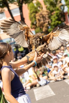 POĽOVNÍCI DEŤOM 2025