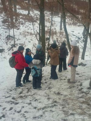 poľovnícky krúžok - zakrmovanie