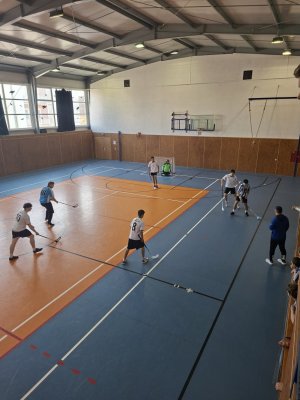 Okresné kolo Super florbalu chlapcov ZŠ