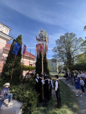 Stavanie májov v CVČ Domček