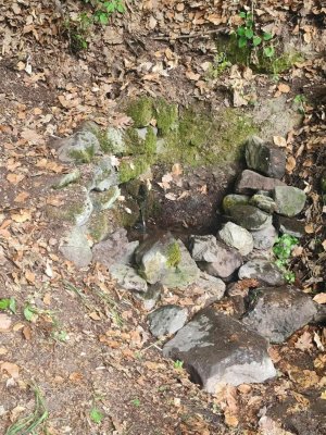 Krúžok mladých priateľov prírody a poľovníctva - čistenie studničiek