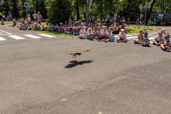 Poľovníci deťom 2026 fotoreportáž