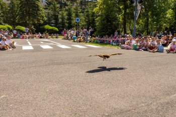 Poľovníci deťom 2026 fotoreportáž