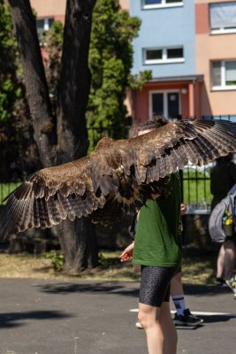 Poľovníci deťom 2026 fotoreportáž