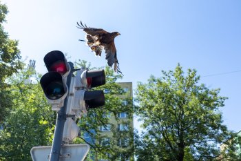 Poľovníci deťom 2026 fotoreportáž