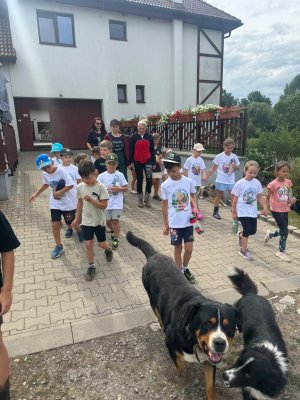 Witturáčik 2026