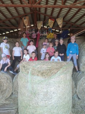 Farma Camp 2026