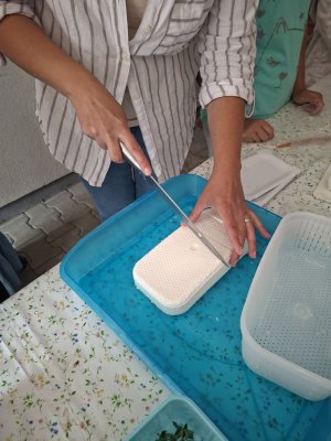 Farma Camp 2026
