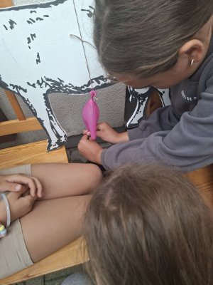 Farma Camp 2026