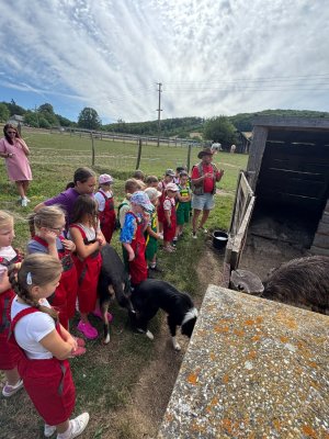 Farma Camp 2026