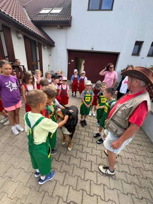 Farma Camp 2026