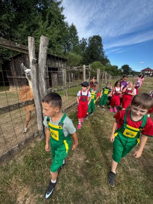 Farma Camp 2026