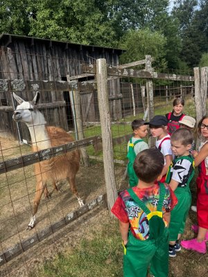 Farma Camp 2026