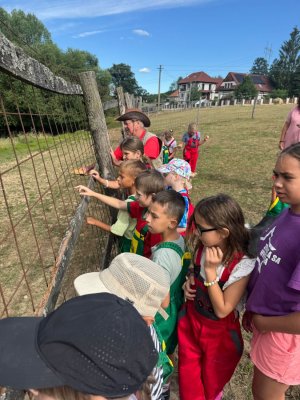 Farma Camp 2026