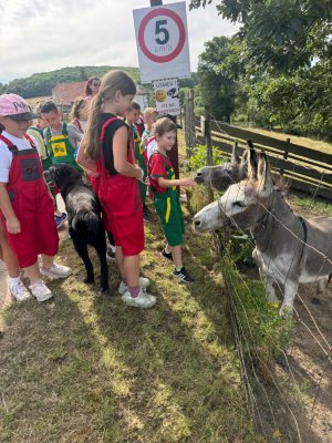 Farma Camp 2026