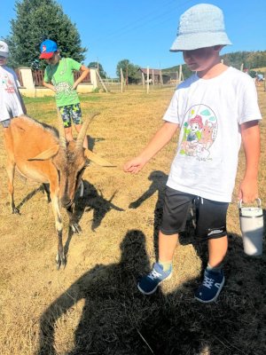 Witturáčik 2026 - II.turnus